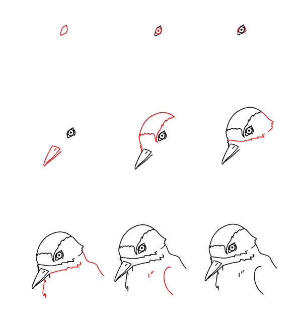 Dibujos de Woodpecker head