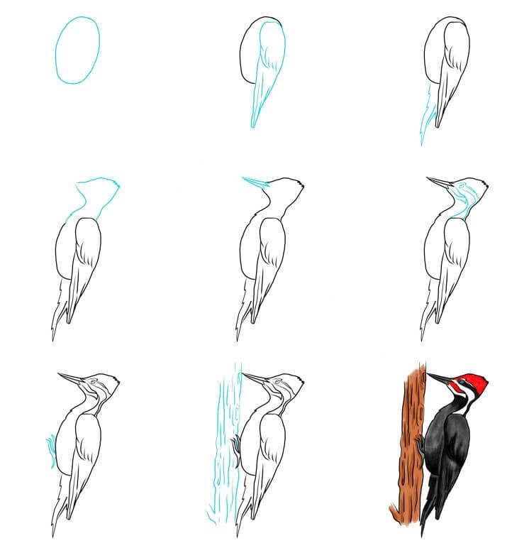 Dibujos de Woodpecker idea (10)