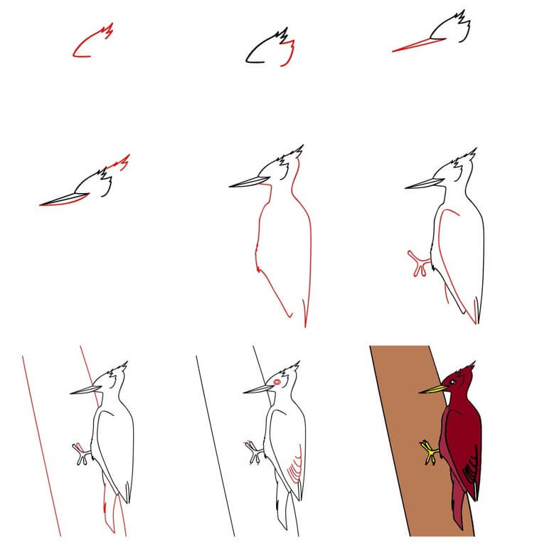 Dibujos de Woodpecker idea (12)