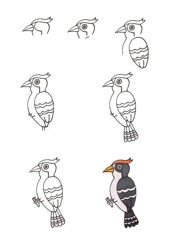 Dibujos de Woodpecker idea (3)