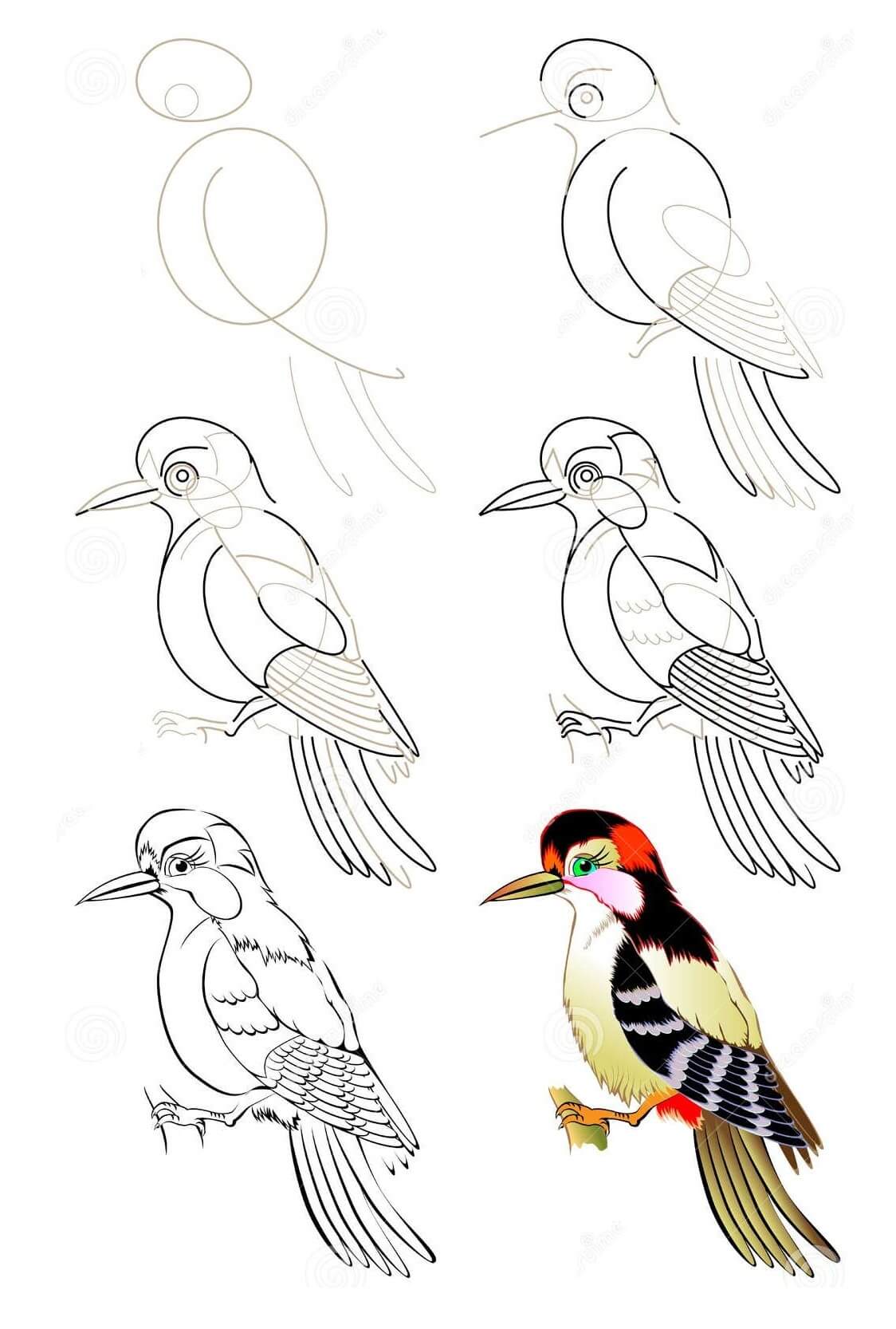 Dibujos de Woodpecker idea (8)