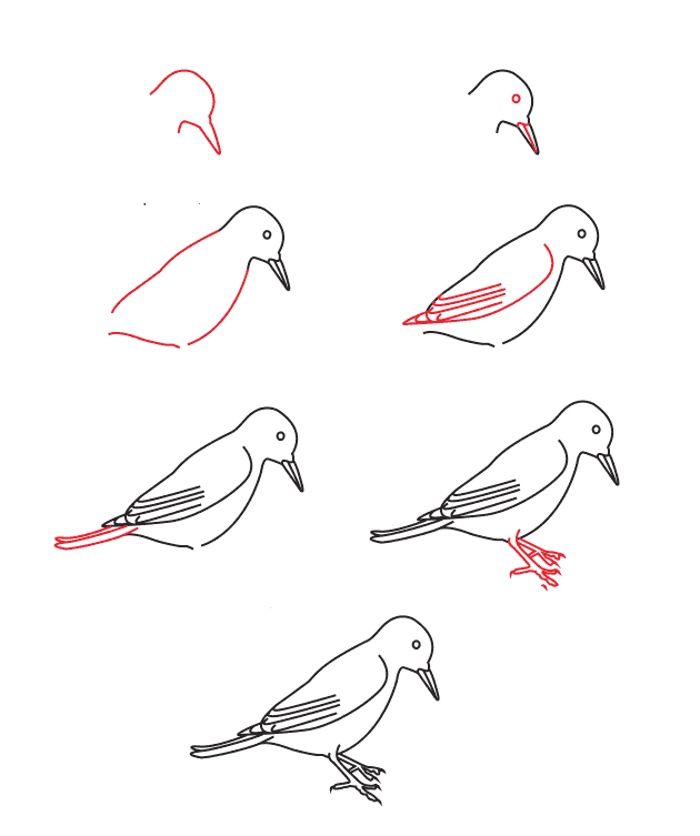 Dibujos de Woodpecker simple